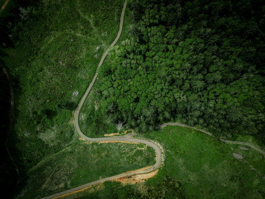 deforested land aerial view