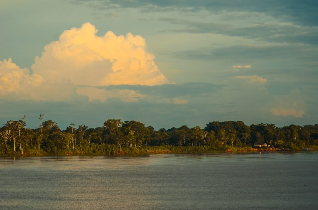 amazon rainforest deforestation